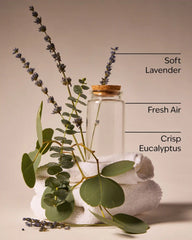 Laundry Day