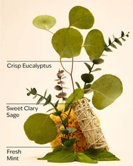Eucalyptus Mint