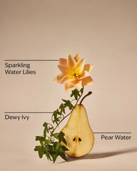 Dewy & Delicate