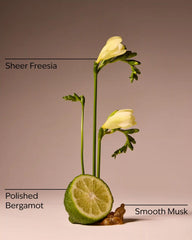 Lounge Talk