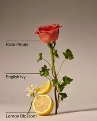 Rose Water & Ivy